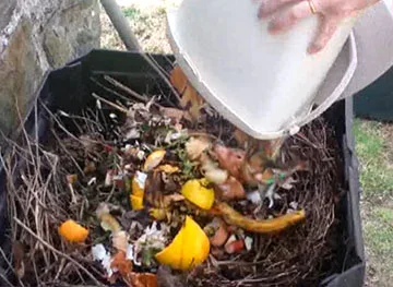 compost splat lo res.jpg