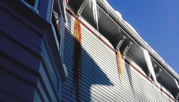 Ice Dam Aftermath: The Facts about Mold