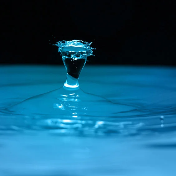 Of Drips and Trickles: Conserving Water at Home