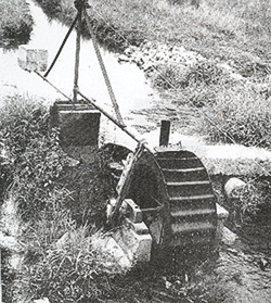 AmishImage13.gif