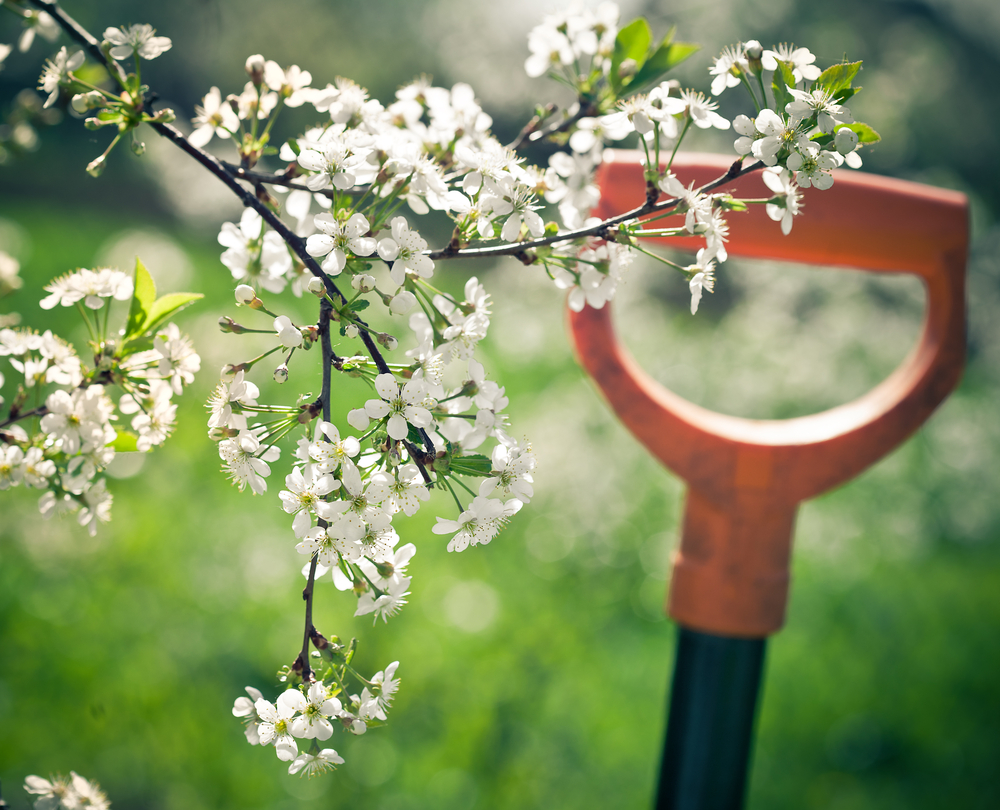 Spring-Gardening.jpg