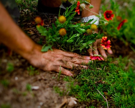 gardening.jpg