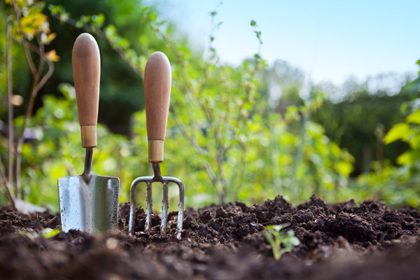 gardening-tools-crave-local.jpg