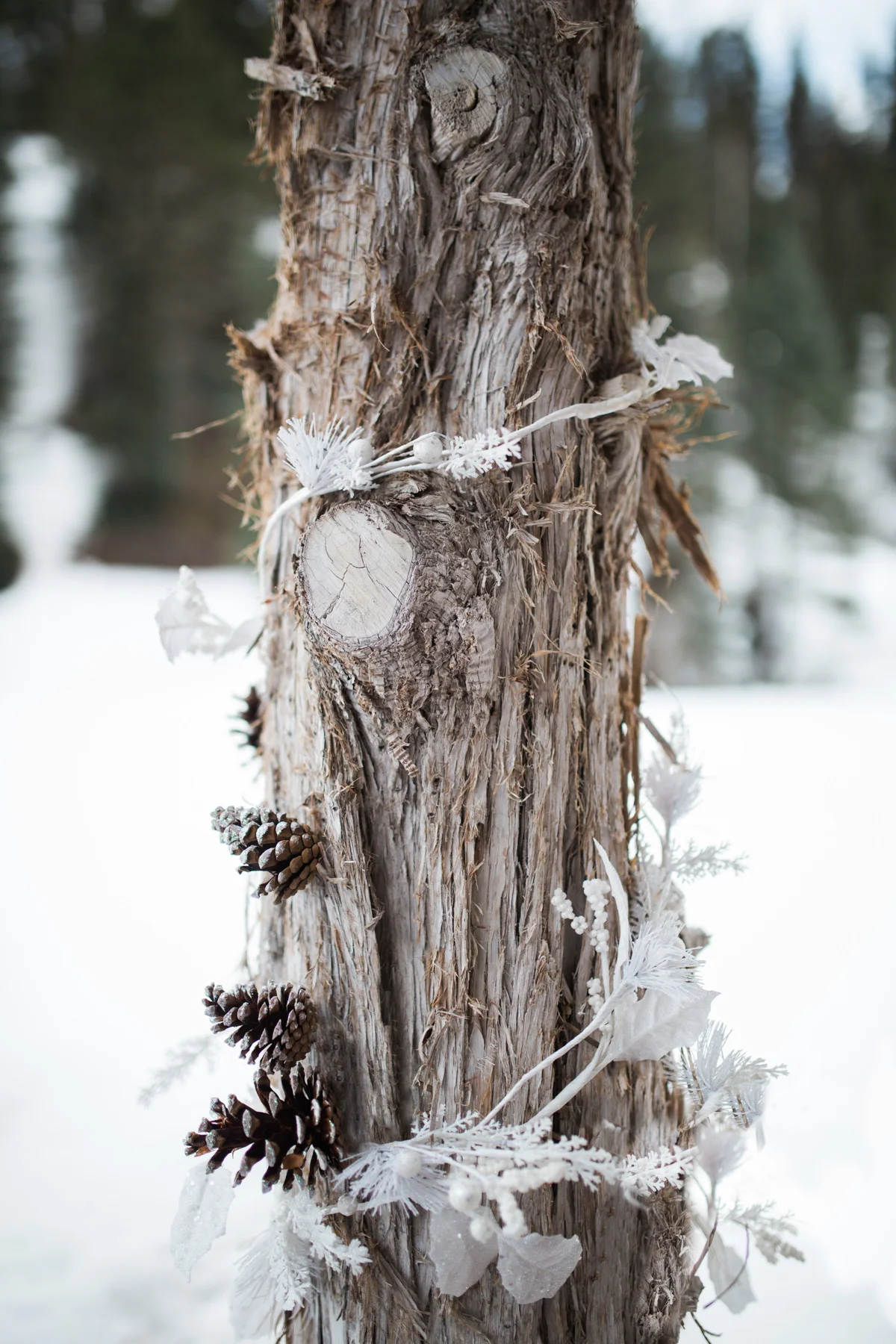 Dunton Hot Springs Brooke and Jesse-65.jpg