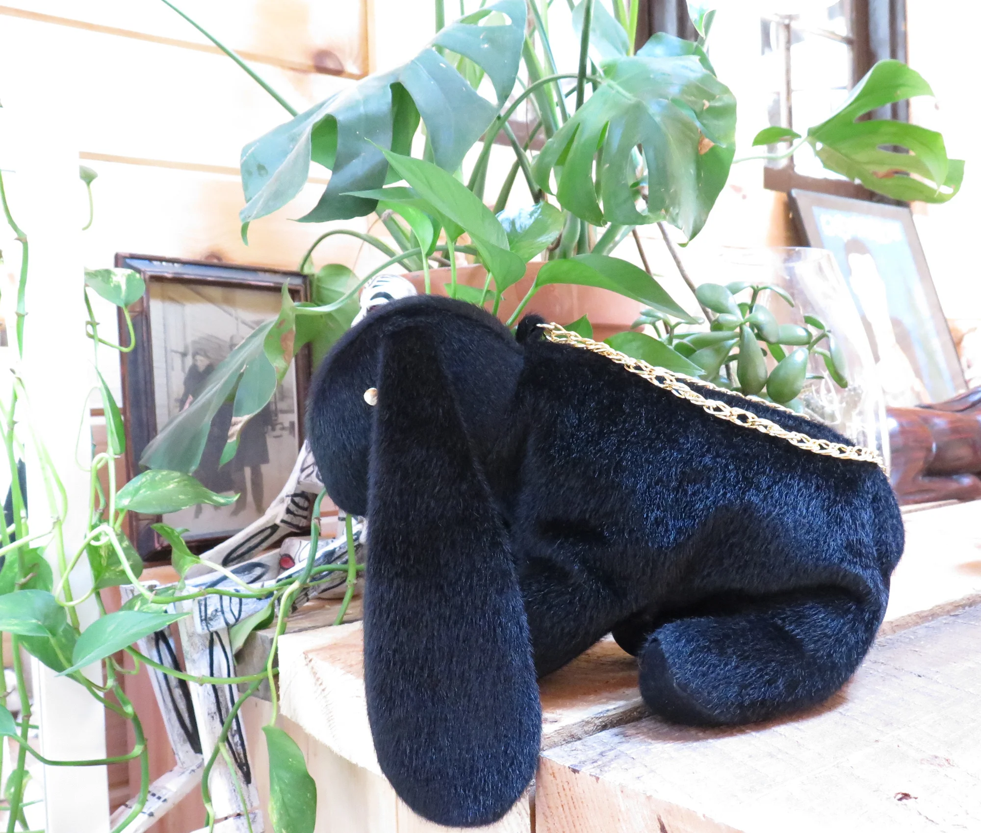 MC-GINNY-VEGAN-PLANTS.jpg