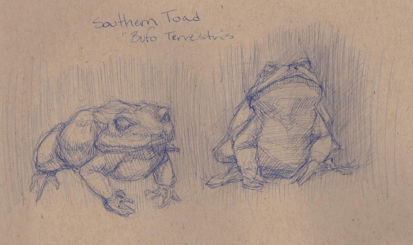 Sketchbook 9:13 1.jpg