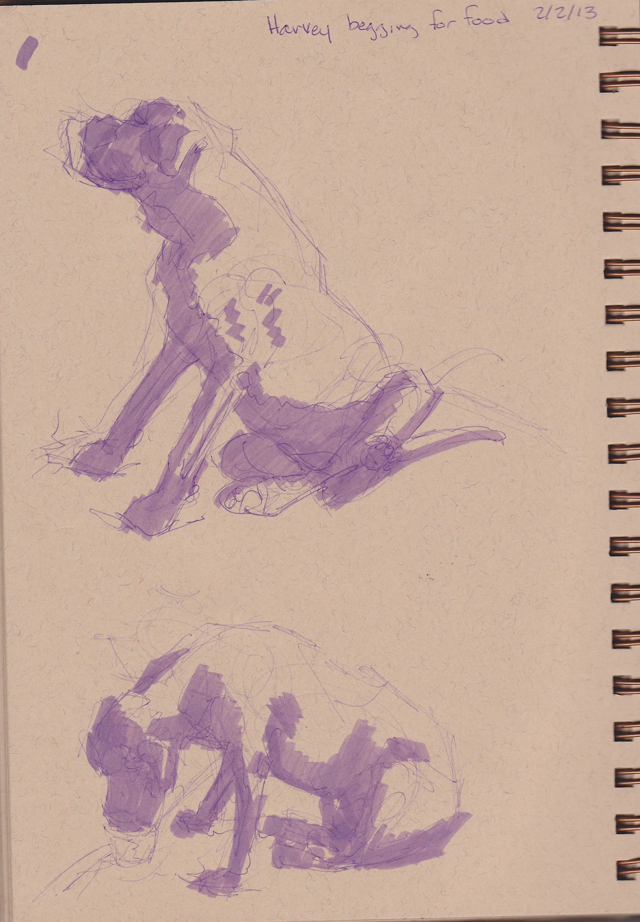 SCN_0001-2.jpg
