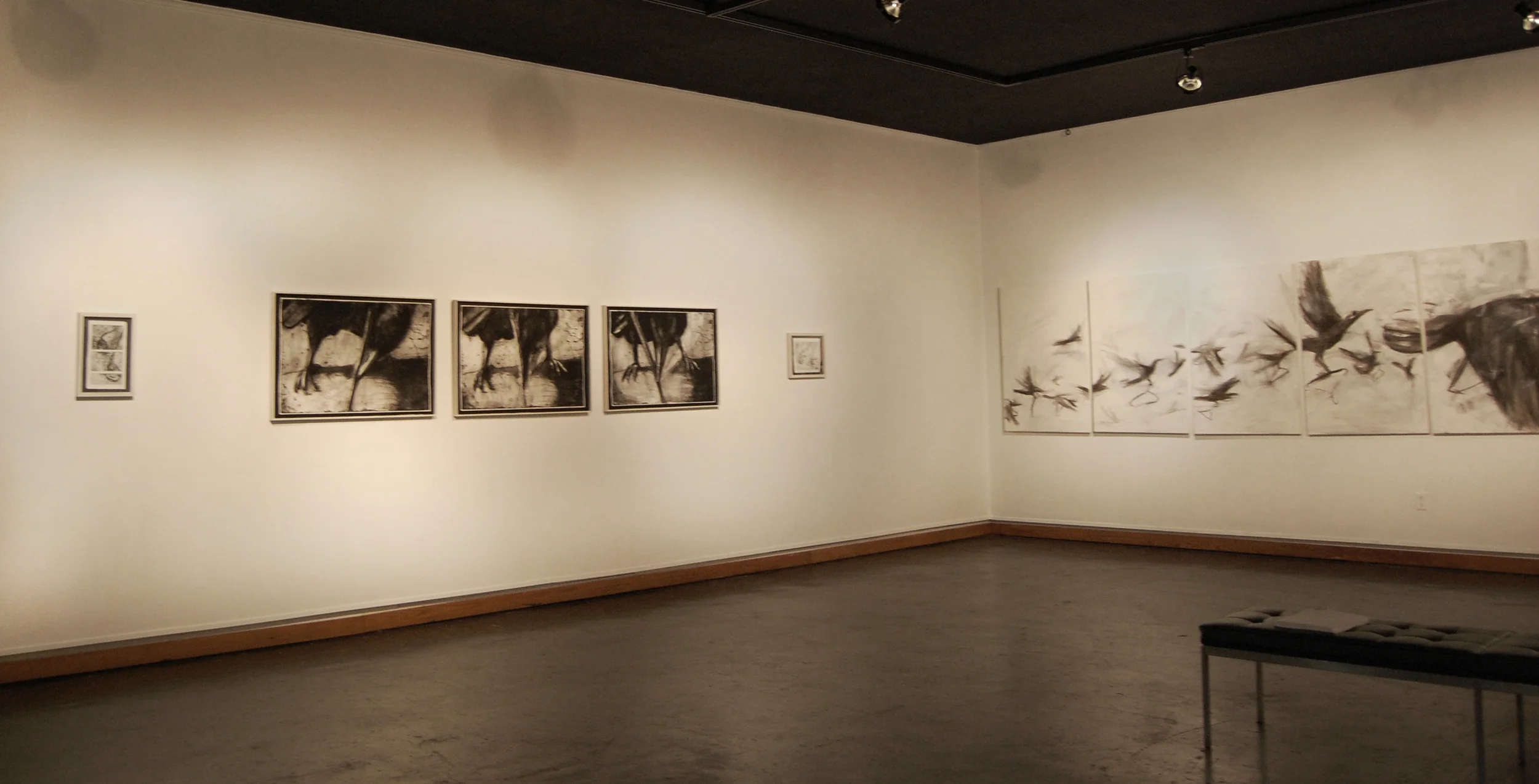 A Crow and a Hanger, installation view