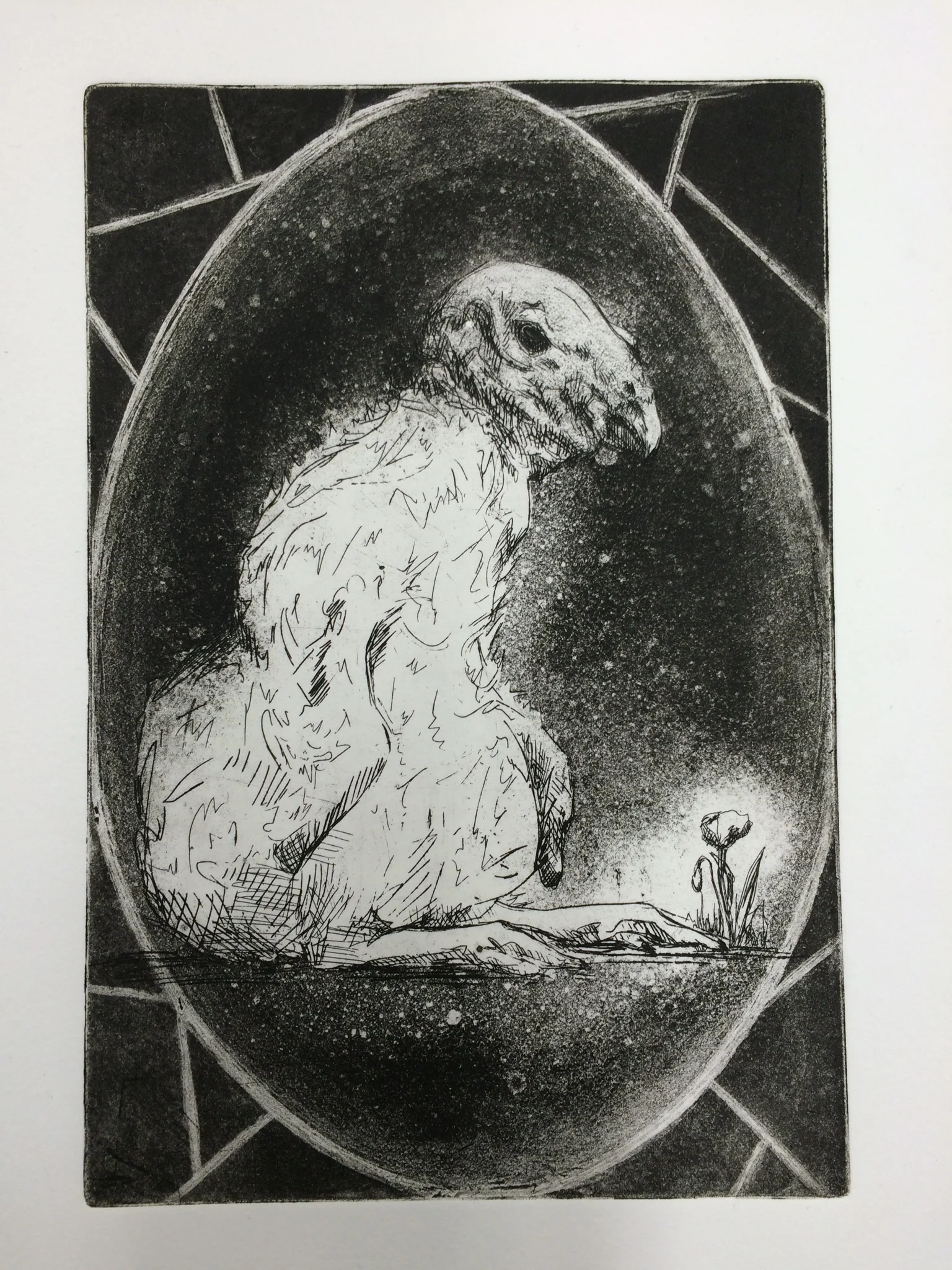 Untitled - baby vulture with poppy