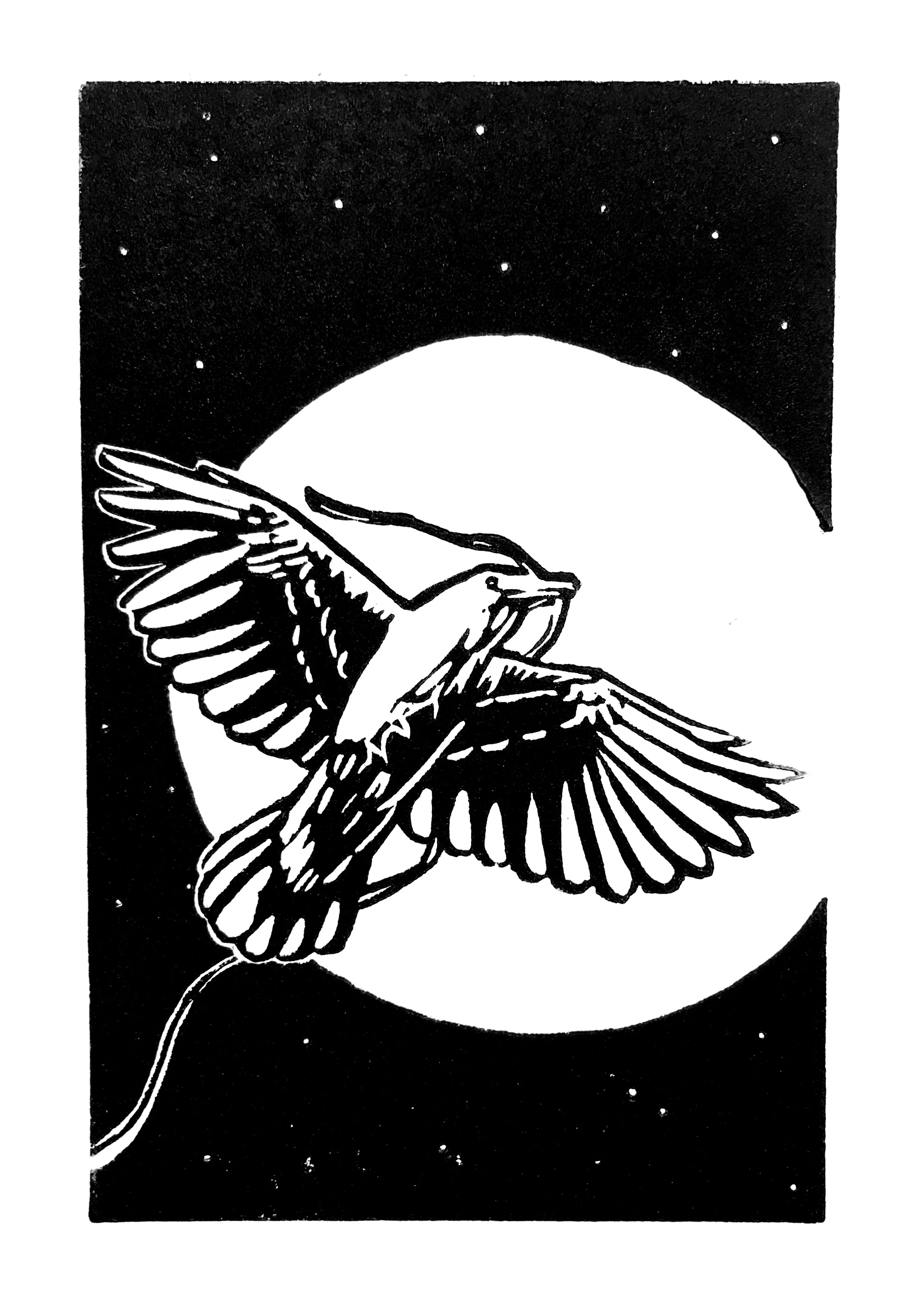 Take Flight