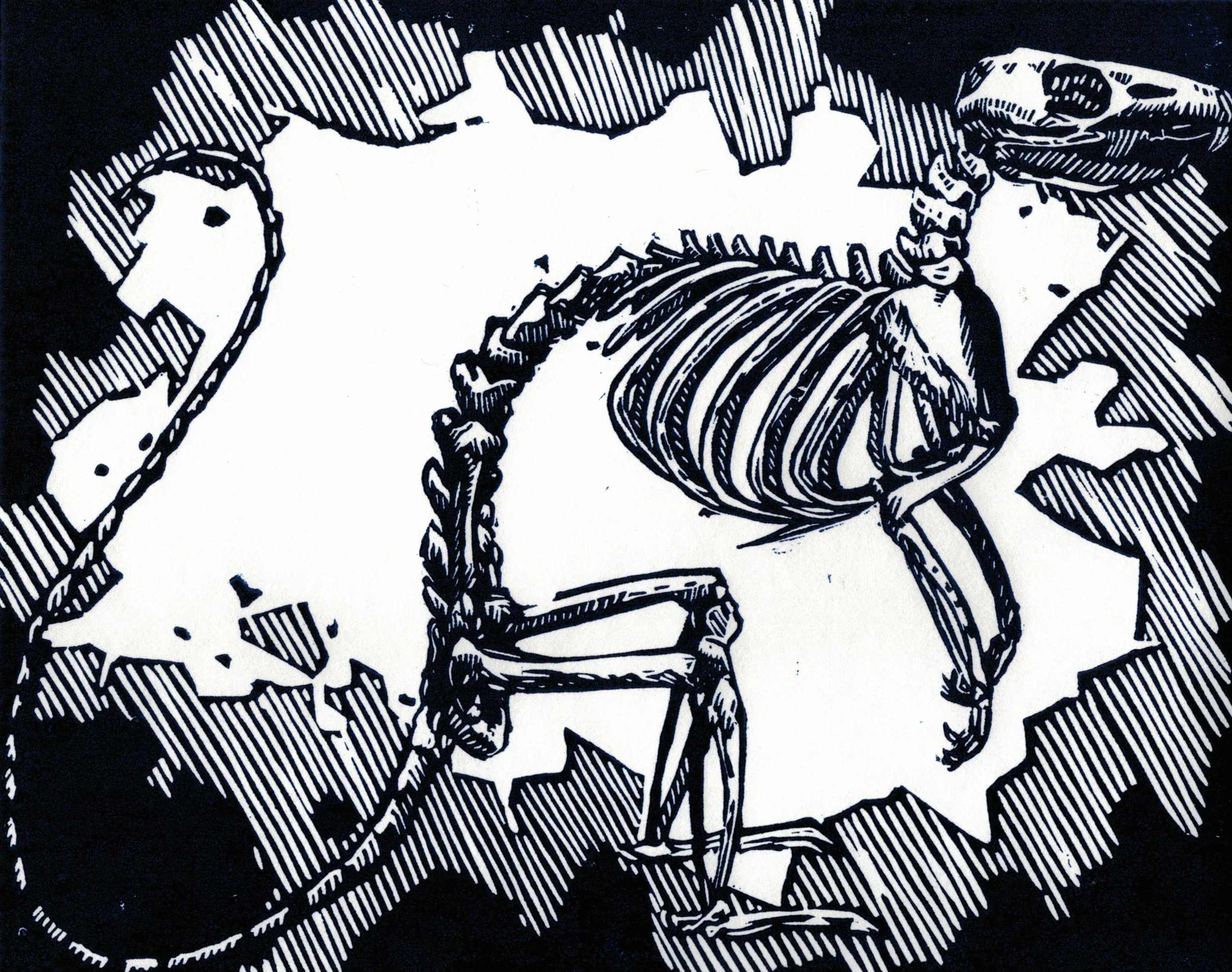 Rodent