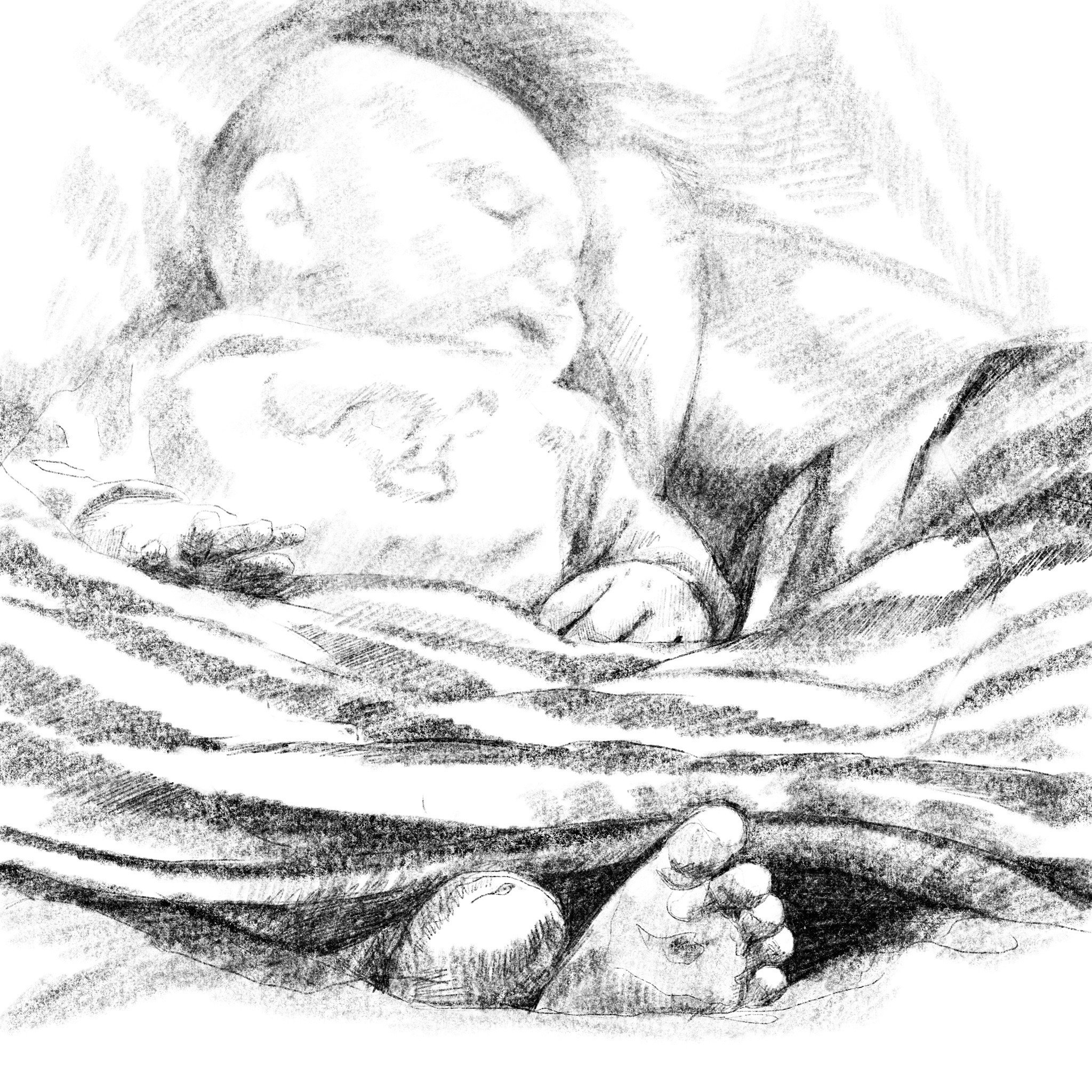 IMG_0010.jpeg