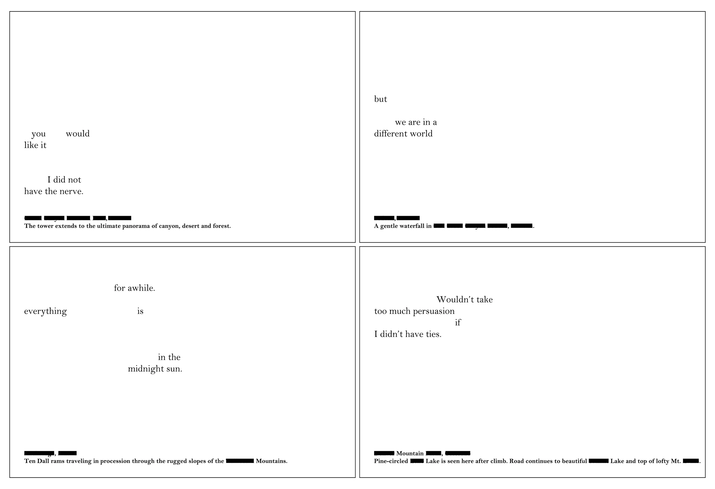 Web-5.jpg