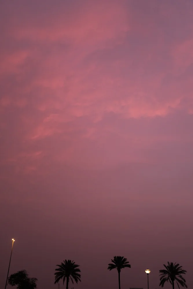 DSCF0362.jpg