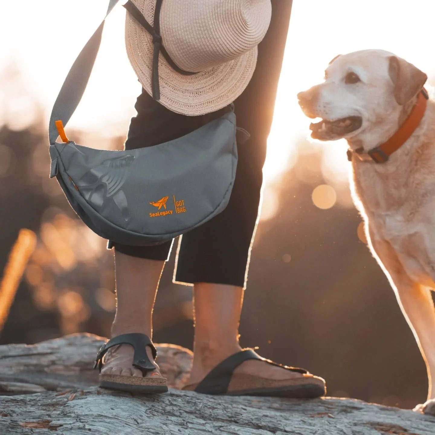 Images for the @gotbag collab with @sealegacy 

Thanks @paulnicklen and @mitty - and @kait_burgan for pulling us all together.
