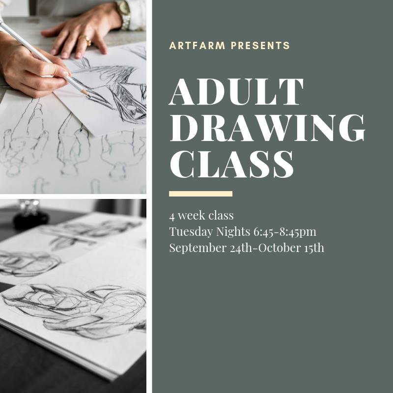 The Best Online Drawing Classes of 2023