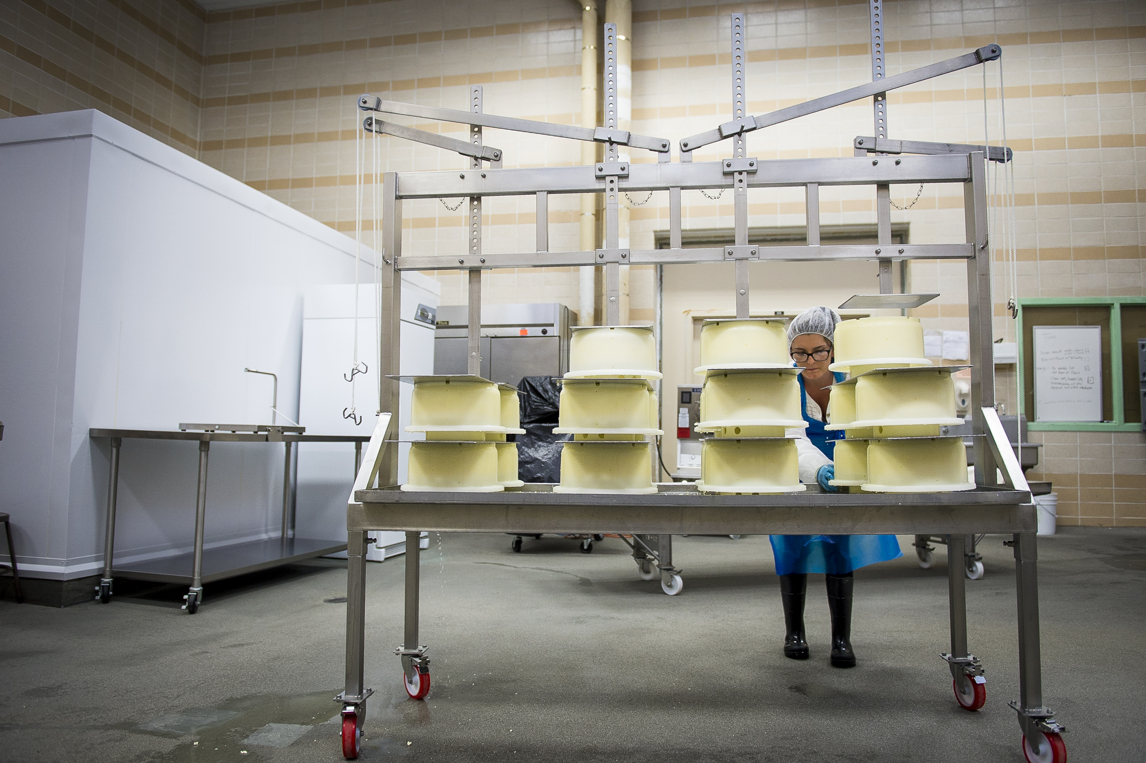 oregon-state-university-cheese-making.jpg