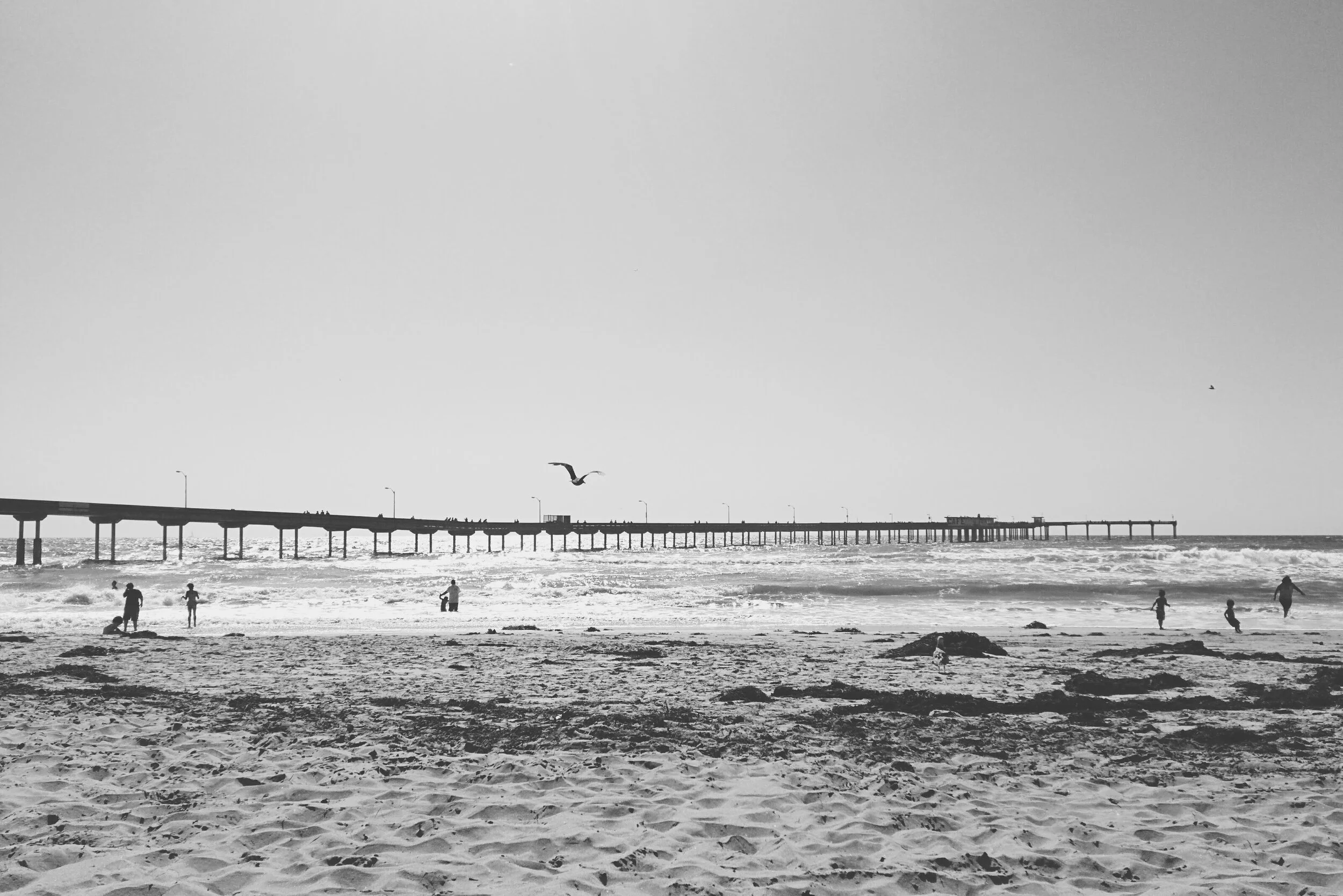 2014-05-11 07.01.23 1.jpg