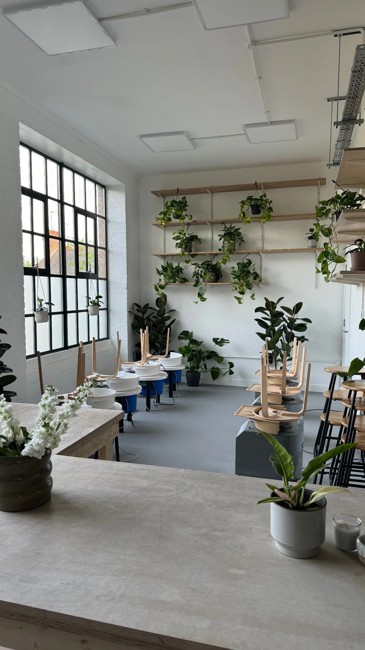 2F15E664-7A94-4821-B75F-0A7CE8E0E09C (1).JPG