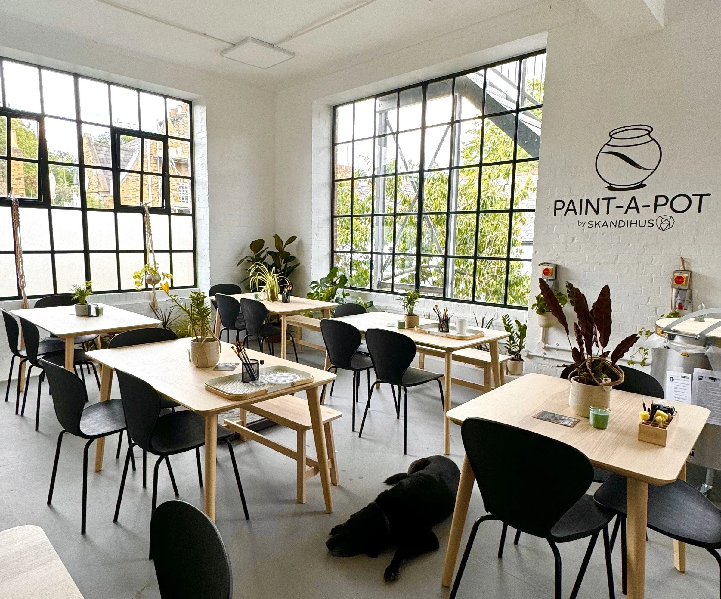 IMG_4348 - cropped.jpg