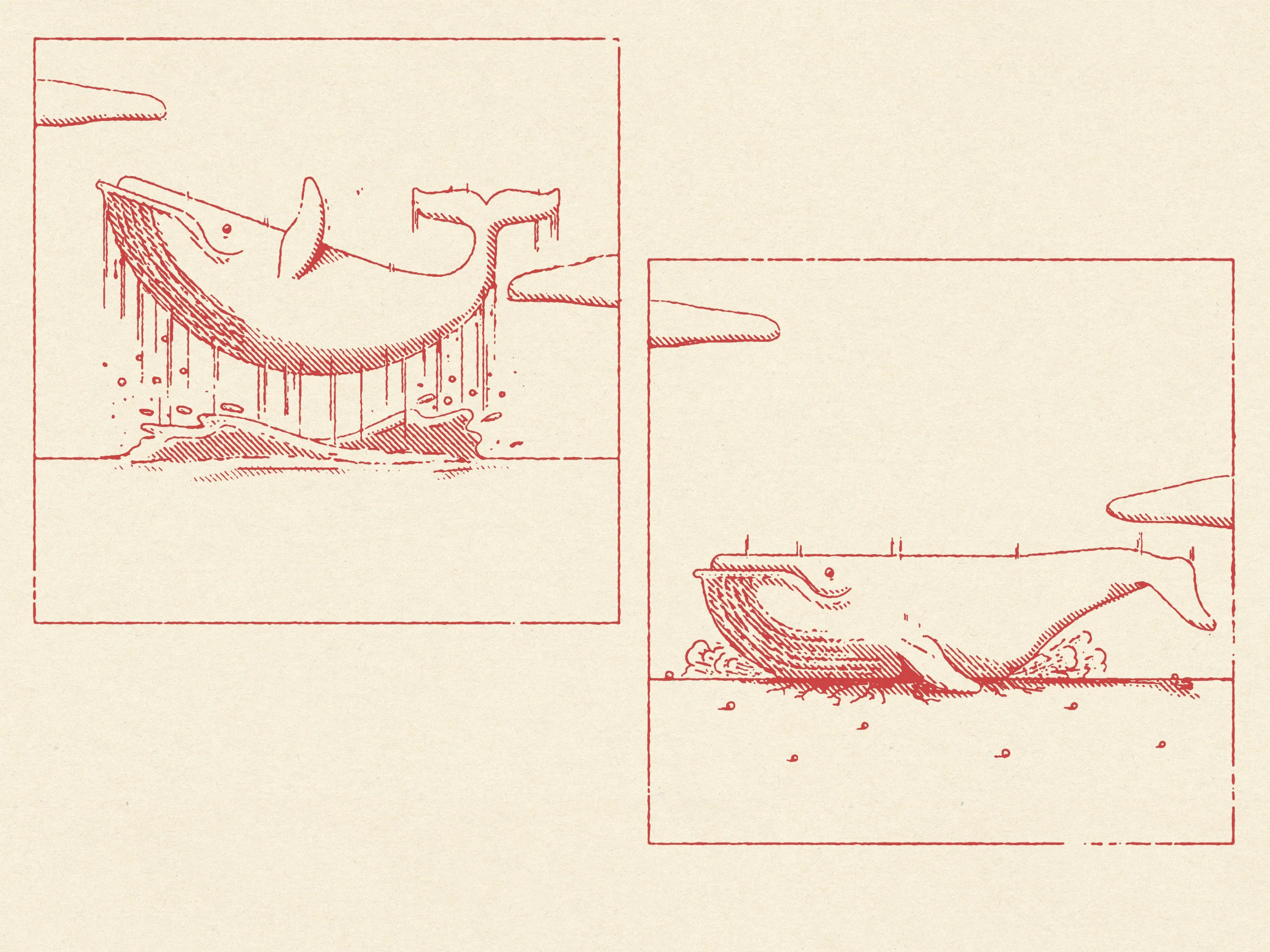 whales.jpg