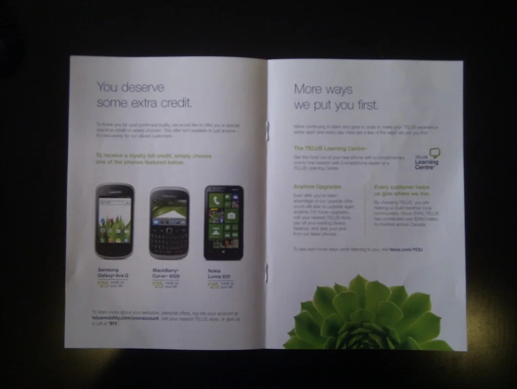Seeing the three phones that they were offering me immediately bummed me out.