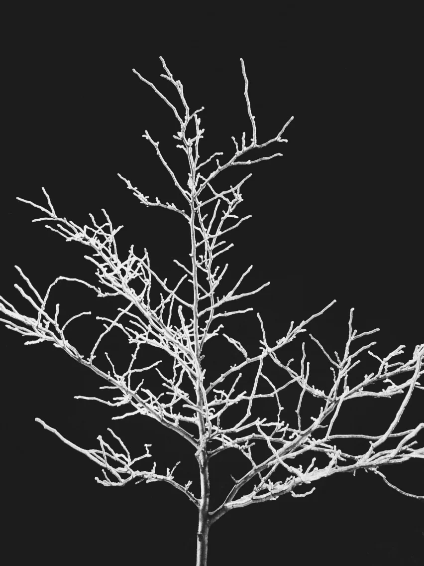 I snapped this photo in a Tim Hortons Drive-Thru in December 2013.