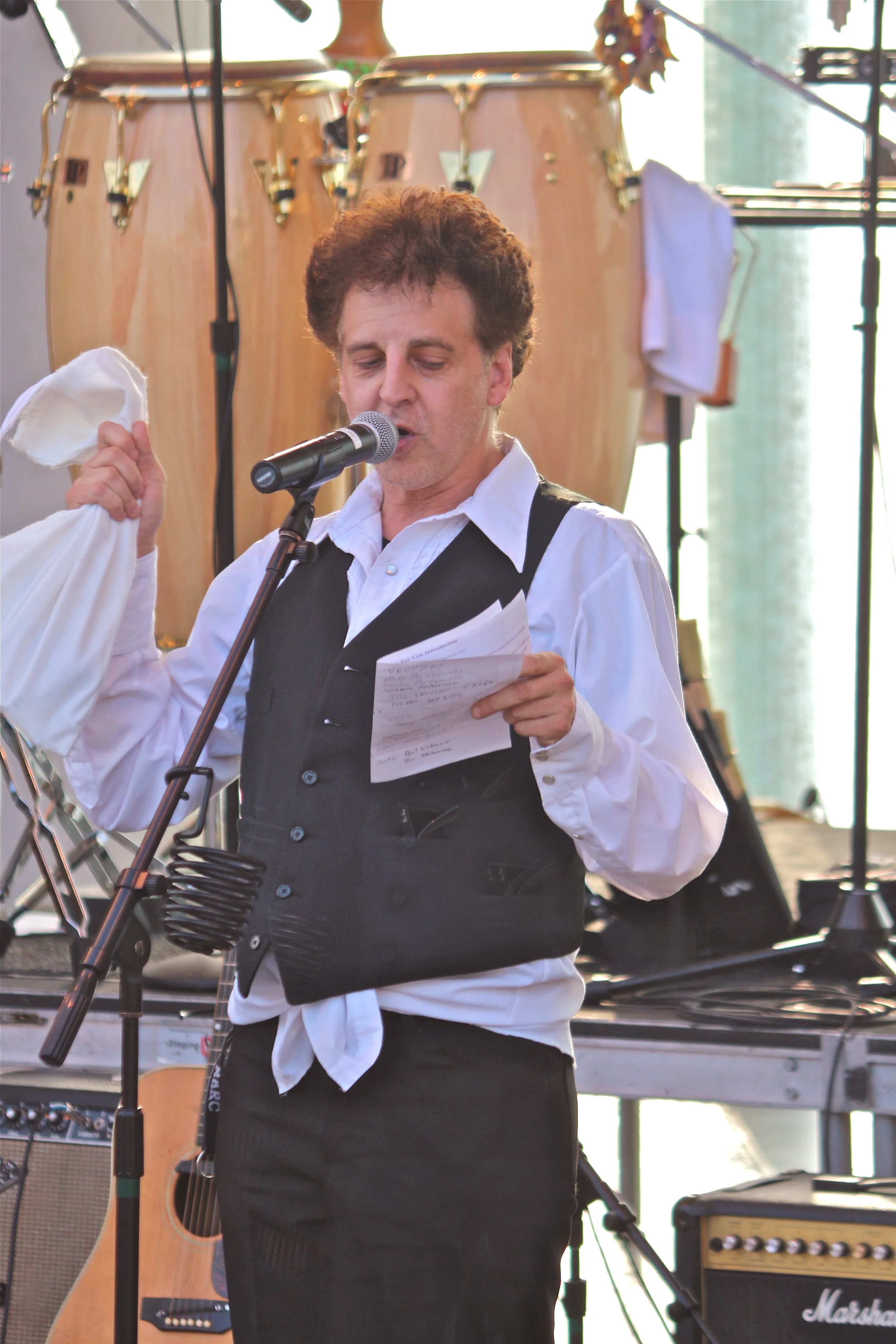 Magic Marc / Salute to the Music of Bob Dylan / Town Green Amphitheatre / Maple Grove, Minnesota / August 6th, 2014 / Photo by Jeff Miletich