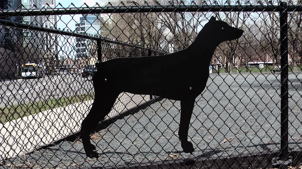 Ruby's Dog Silhouette / Gateway Dog Park / Minneapolis, Minnesota / May 14th, 2014 / Still Photo by Michael Johnson
