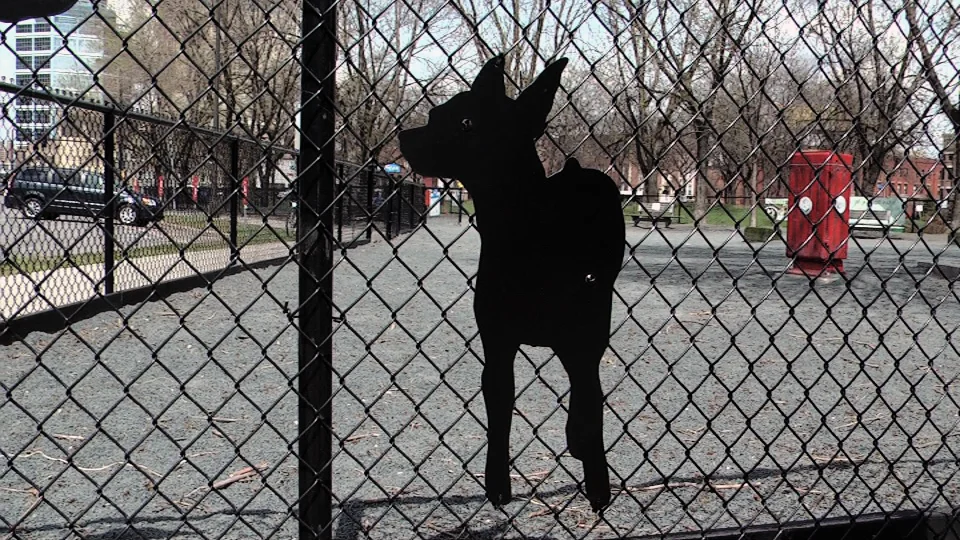 Lulu's Dog Silhouette / Gateway Dog Park / Minneapolis, Minnesota / May 14th, 2014 / Still Photo by Michael Johnson
