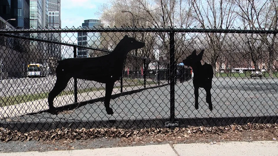 Ruby and Lulu Dog Silhouettes / Gateway Dog Park / Minneapolis, Minnesota / May 14th, 2014 / Still Photo by Michael Johnson