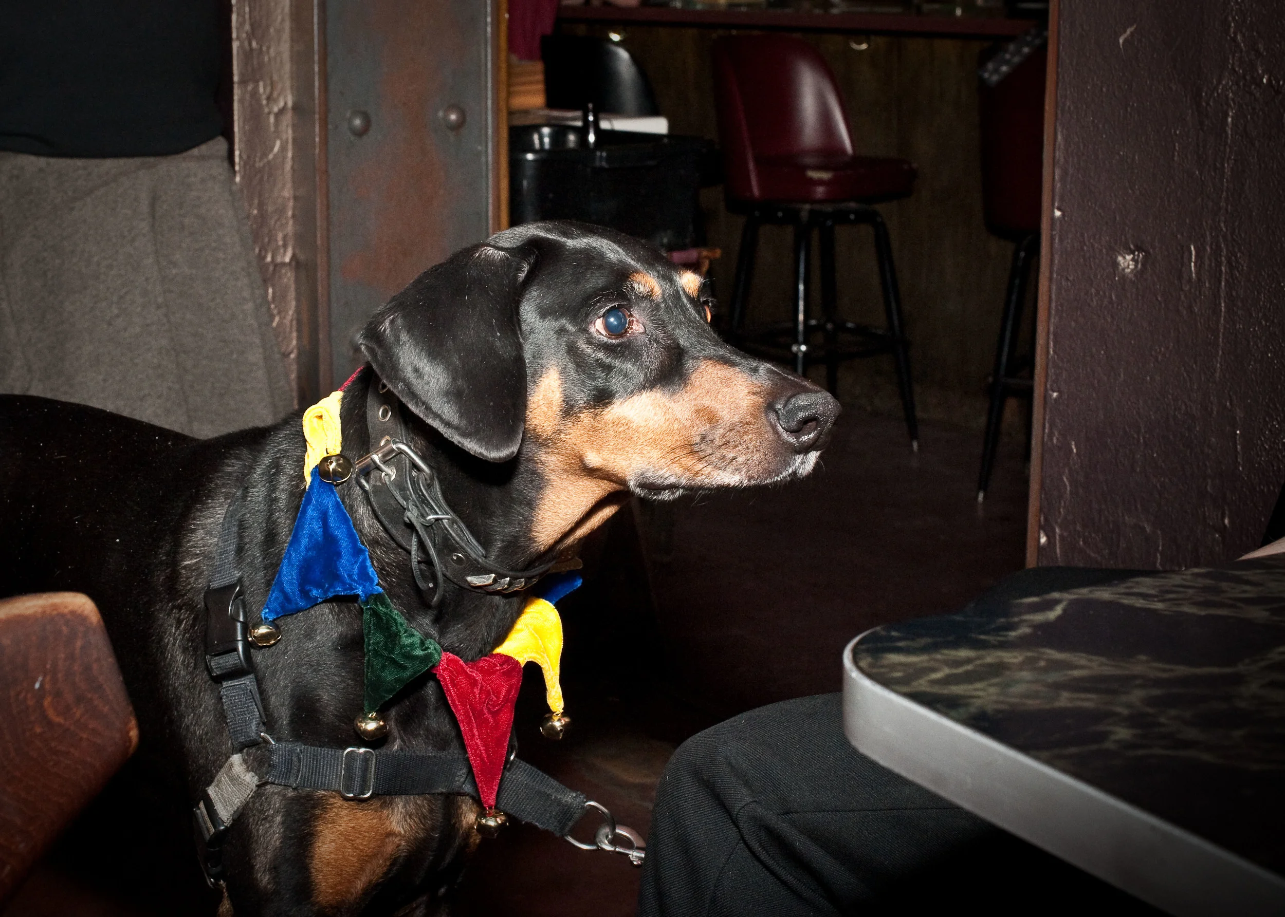 Ruby / Caffetto Cafe / Minneapolis, Minnesota / March 20th, 2015 / Photo by Gamini Kumara
