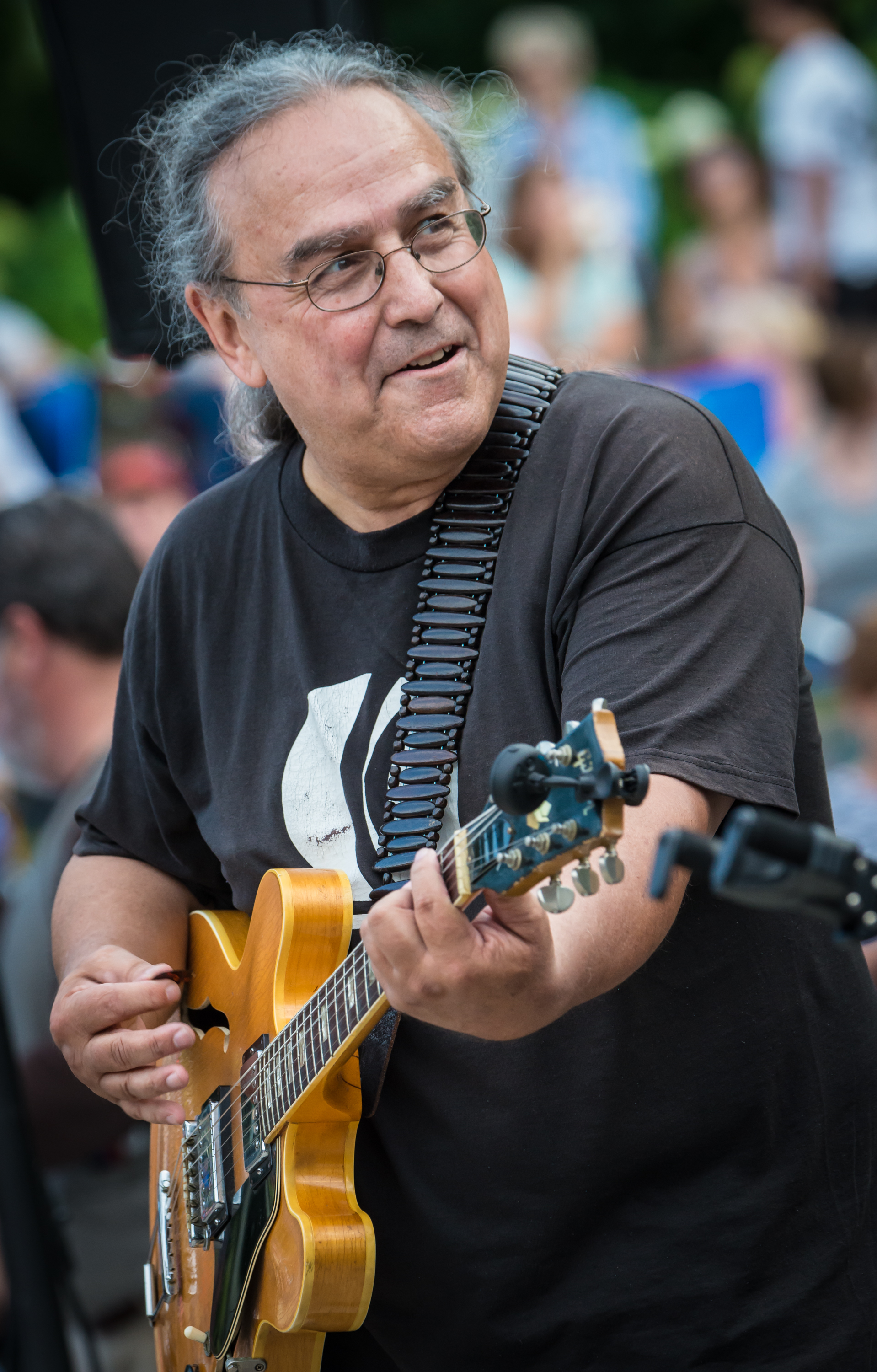 Billy Hallquist / Salute to the Music of Bob Dylan / The Veterans' Memorial Wolfe Park Amphitheater / St. Louis Park, Minnesota / August 9th, 2014 / Photo by Don Olson