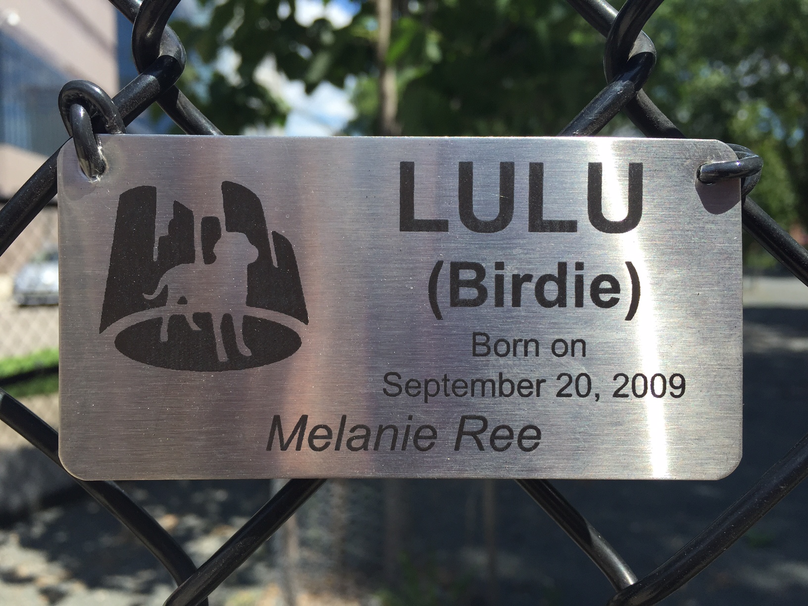 LULU'S (Birdie) Dog Silhouette Stainless Steel Plaque / Gateway Dog Park / Minneapolis, Minnesota / July 22nd, 2015