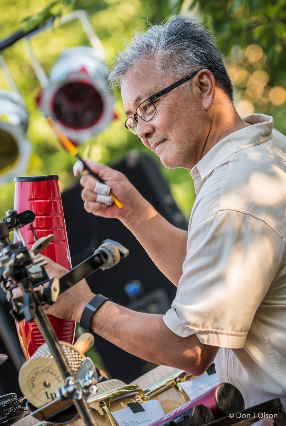  Ralph Dacut / The Veterans' Memorial Wolfe Park Amphitheater / St. Louis Park, Minnesota / August 1st, 2015 