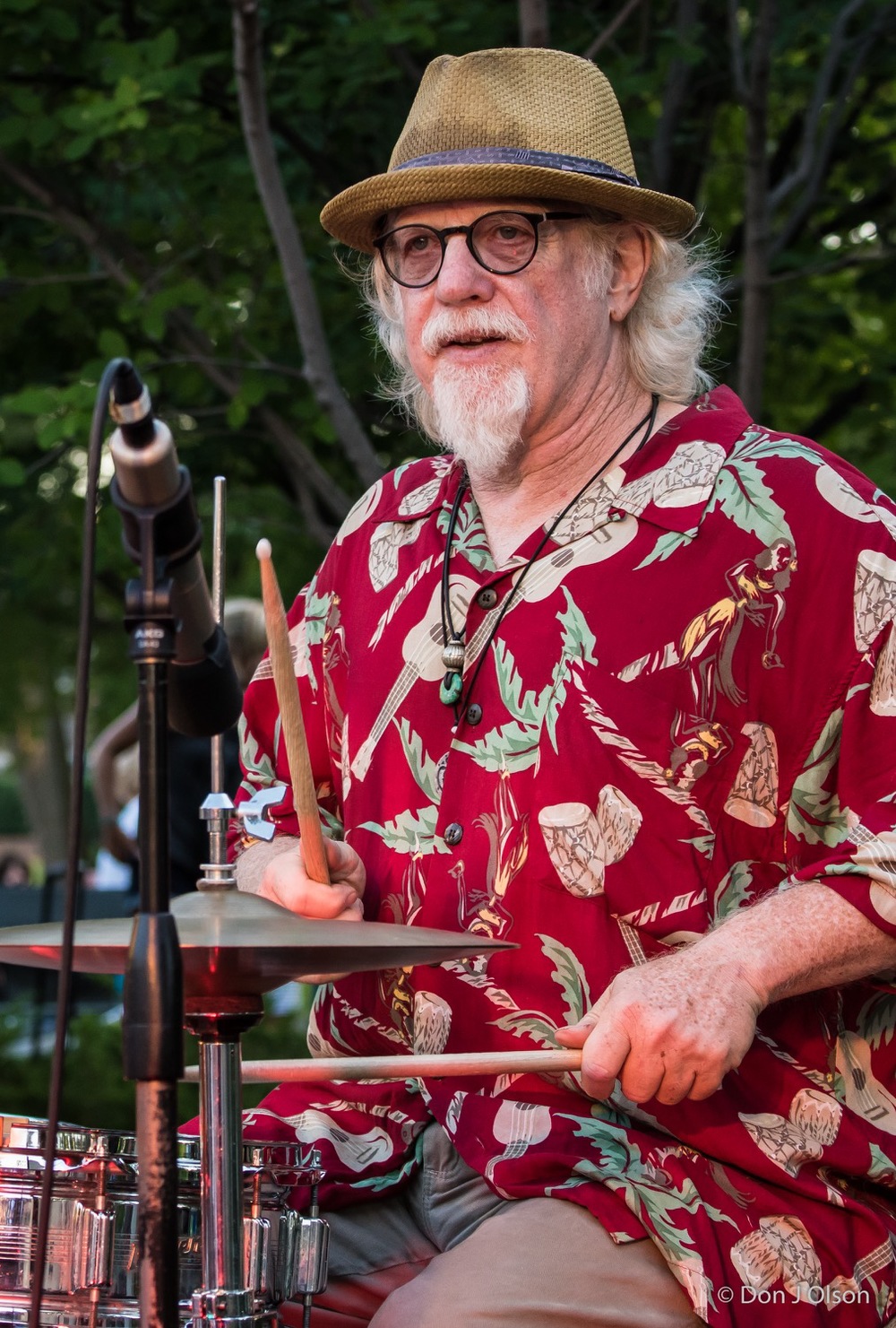  Scott Sansby / The Veterans' Memorial Wolfe Park Amphitheater / St. Louis Park, Minnesota / August 1st, 2015 