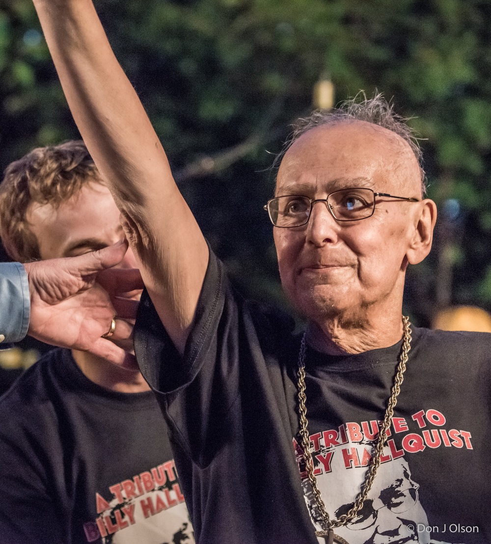  Billy Hallquist / The Veterans' Memorial Wolfe Park Amphitheater / St. Louis Park, Minnesota / August 1st, 2015 