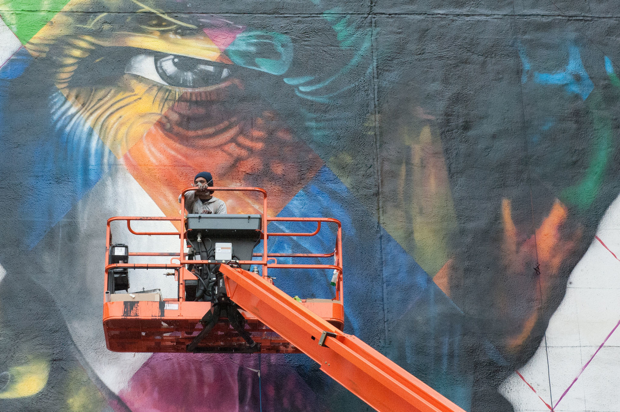 Kobra on the lift.