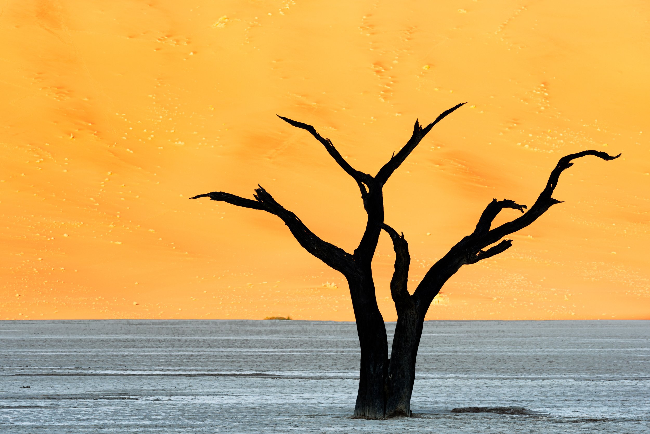 _DSC3735-Edit.jpg