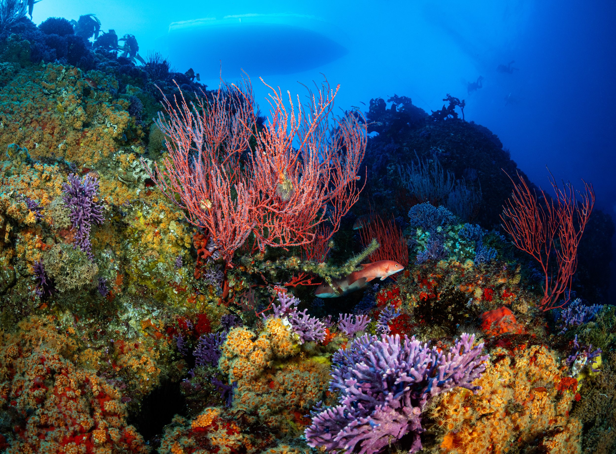 20260131-_DSC3406-Edit-2.jpg