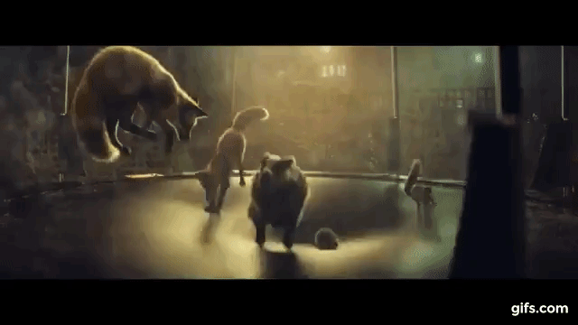 Quelle: gifs.com