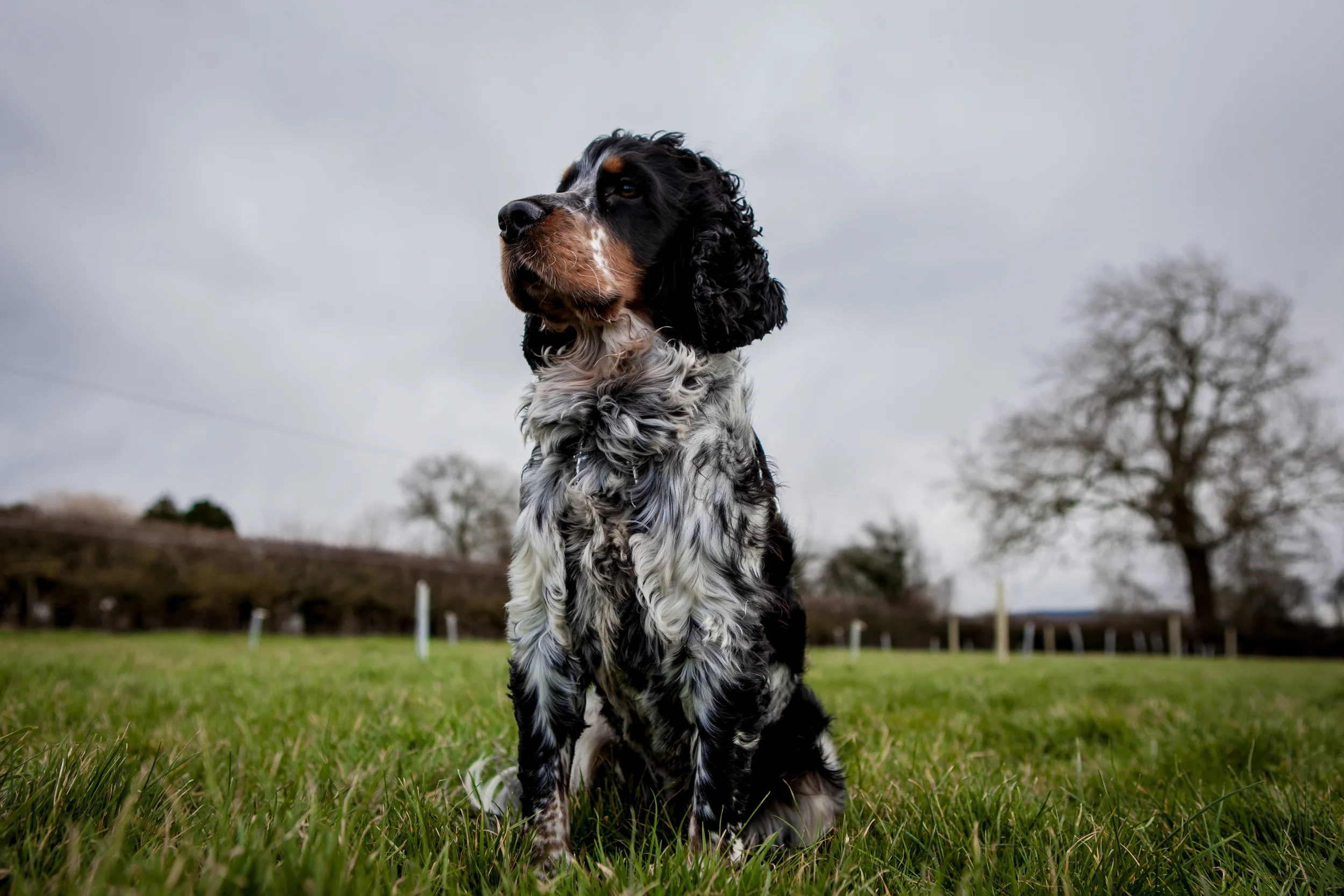 Tom Sparey Photography-46.jpg