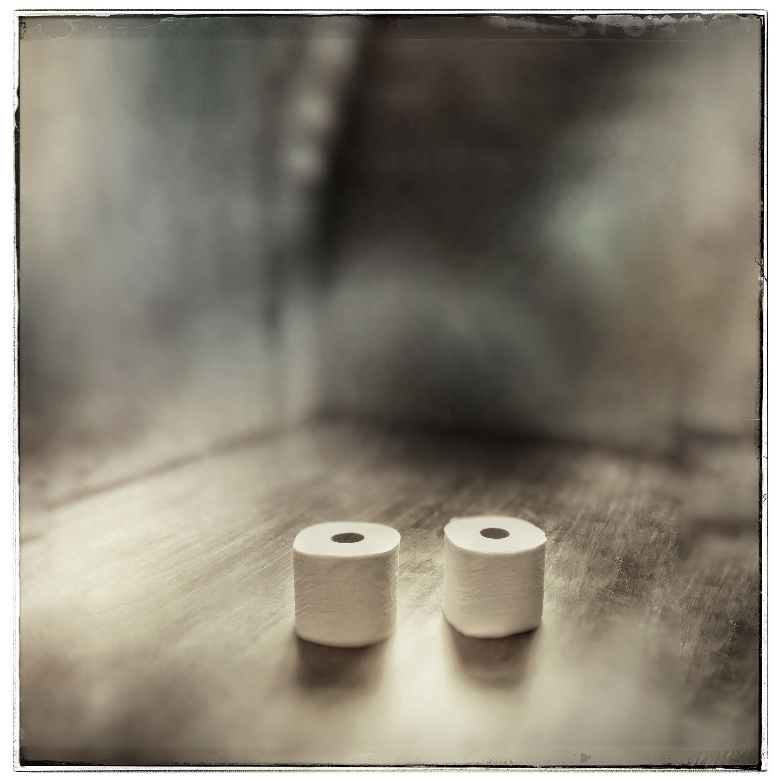 Toilette Paper Rolls, 2020 / after Keith Carter’s Boule Balls, 1999