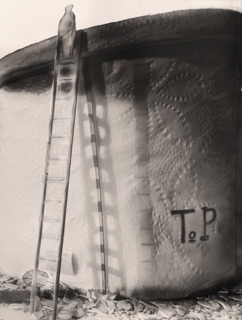 Toilet Paper Roll, 2020 / after Tina Modotti, Oil Tank, 1927