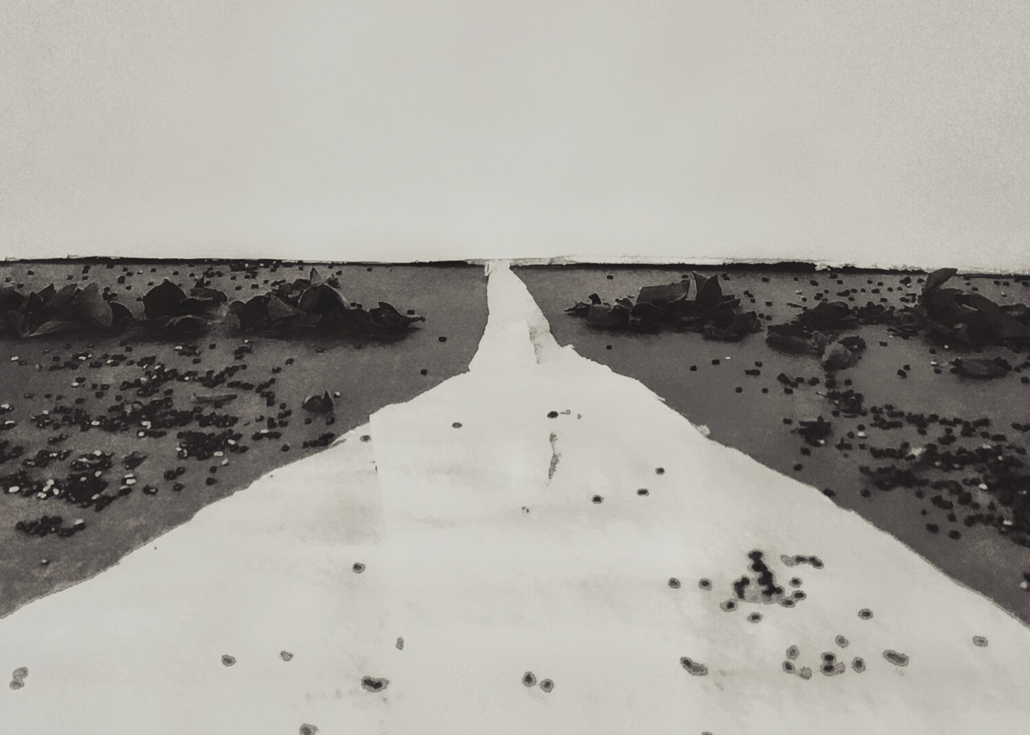 The Road West, TP 54 in Northern California, 2020 / after Dorothea Lange, The Road West, US 54, in Southern New Mexico, 1938