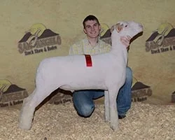 2013 Second Place Finewool at San Angelo Shown by Gabe Jennings