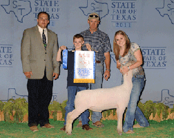 2011 Reserve Champion Southdown at the State Fair Shown by Lauren Verfurth