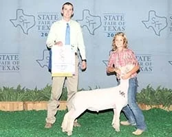 2012 Champion Southdown at the State Fair of Texas Shown by the Crenwelge Family 