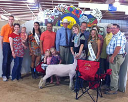 2013 Supreme Champion Ewe at the 125th Gillespie County Fair Shown by Bryleigh Beyers