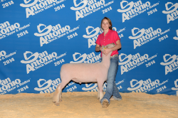 2014 Second Place Heavy Weight at San Antonio Shown by Delaney McLean